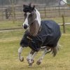 Derka padokowa 150g 1200D IRISH - Bucas - black/gold